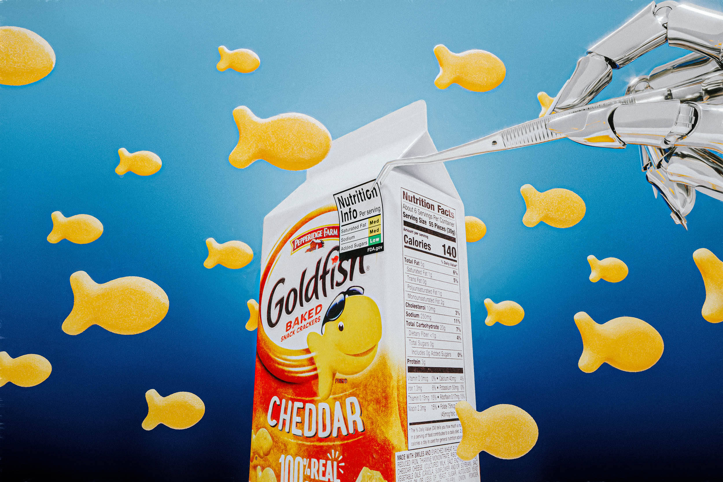 WashPost_Goldfish_006_1